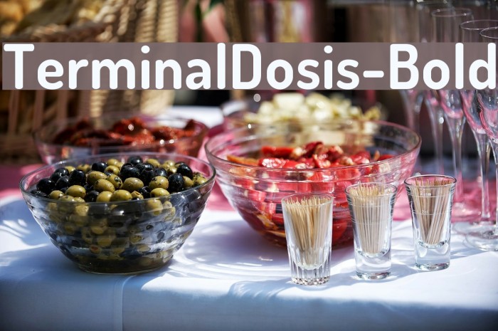 TerminalDosis-Bold Font examples