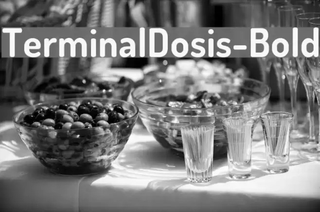 TerminalDosis-Bold Font examples
