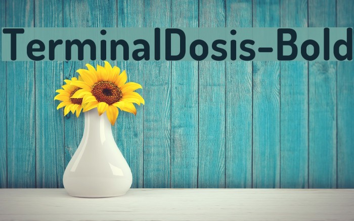 TerminalDosis-Bold Font examples