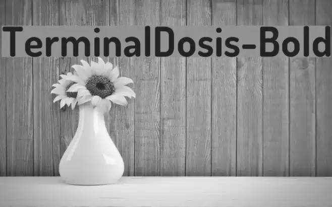 TerminalDosis-Bold Font examples