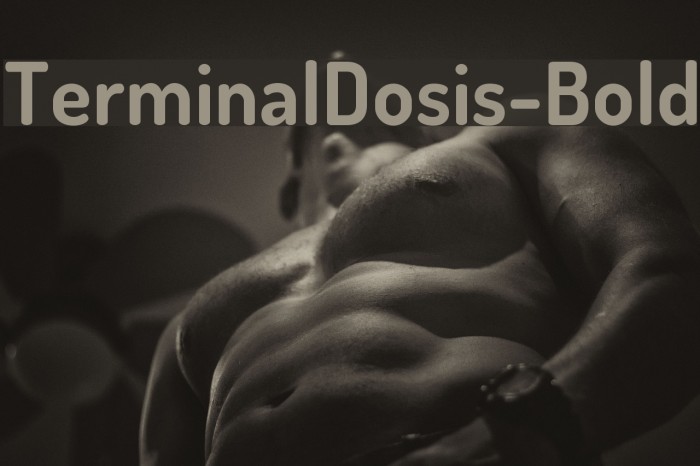 TerminalDosis-Bold Font examples