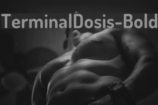 TerminalDosis-Bold Font examples
