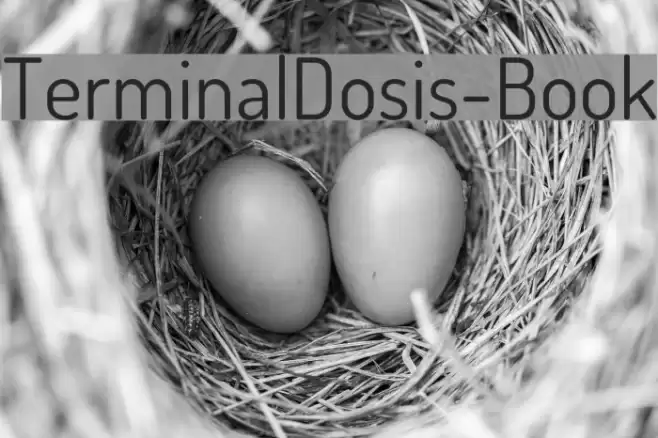 TerminalDosis-Book Font examples