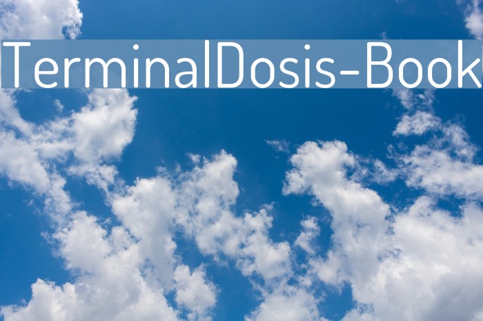 TerminalDosis-Book Font examples
