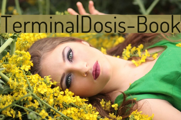 TerminalDosis-Book Font examples
