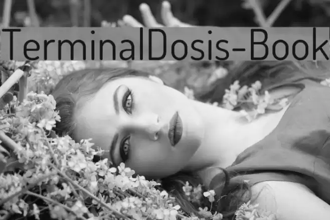 TerminalDosis-Book Font examples