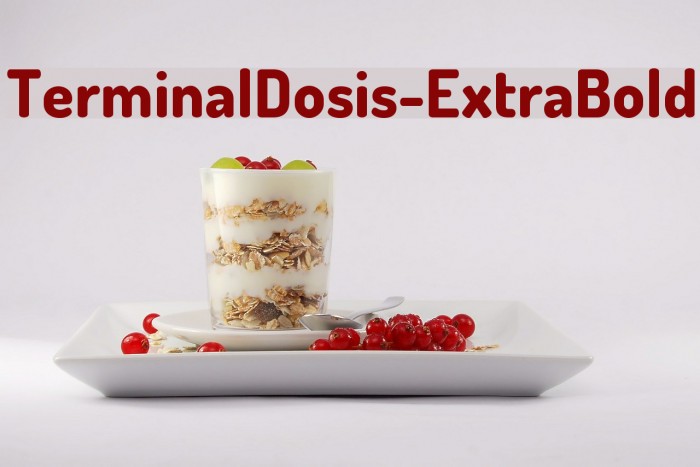 TerminalDosis-ExtraBold Шрифта examples
