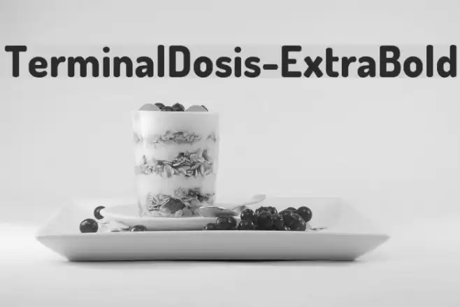 TerminalDosis-ExtraBold Font examples