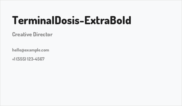TerminalDosis-ExtraBold Business Card