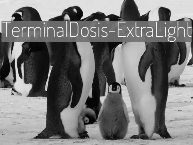 TerminalDosis-ExtraLight Font examples