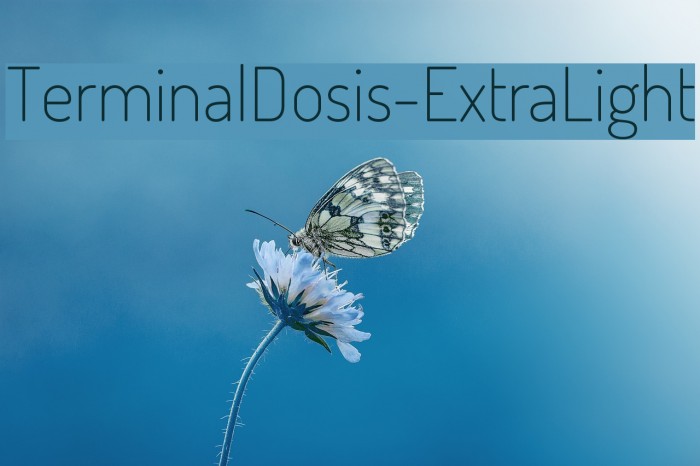 TerminalDosis-ExtraLight Font examples