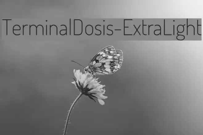 TerminalDosis-ExtraLight Font examples