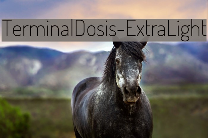 TerminalDosis-ExtraLight Font examples