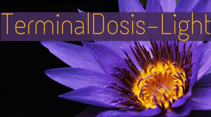 TerminalDosis-Light Font examples