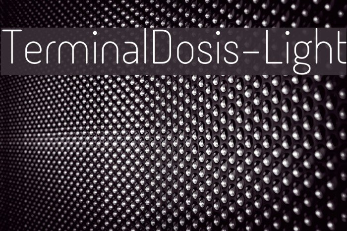 TerminalDosis-Light Font examples
