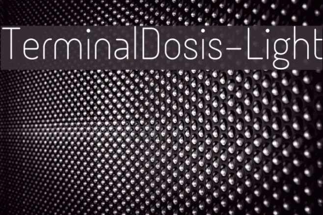 TerminalDosis-Light Example 2