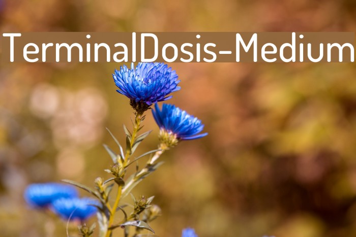 TerminalDosis-Medium Font examples