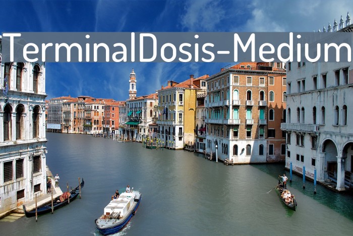 TerminalDosis-Medium Font examples