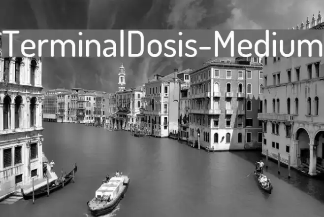 TerminalDosis-Medium  examples