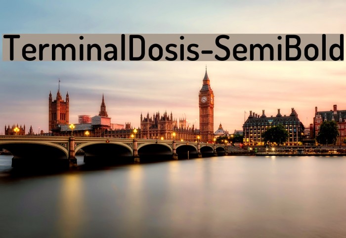 TerminalDosis-SemiBold フォント examples