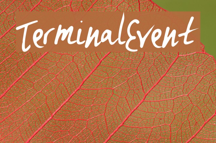 TerminalEvent Font examples
