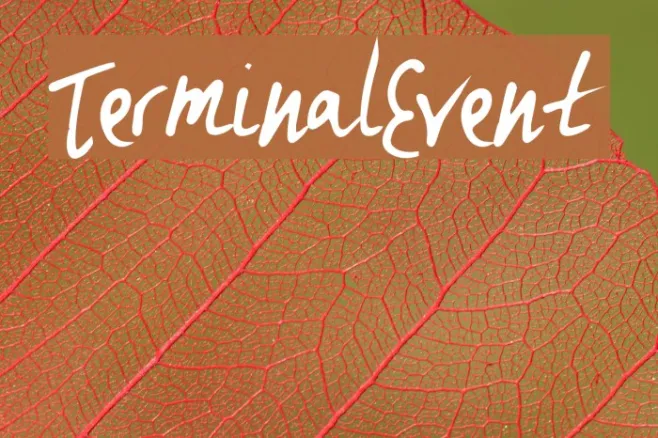 TerminalEvent Example 3