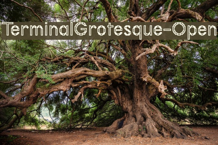 TerminalGrotesque-Open Font examples