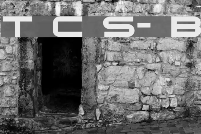 Terminator Cyr Semi-expanded Bold Fuentes examples