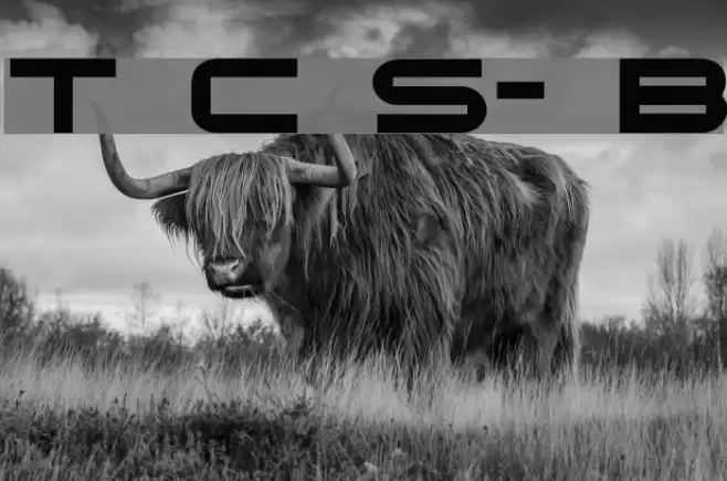 Terminator Cyr Semi-expanded Bold Fuentes examples