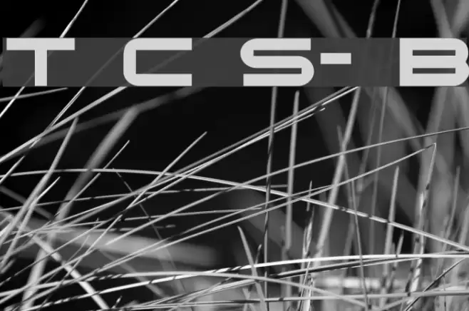 Terminator Cyr Semi-expanded Bold Fuentes examples