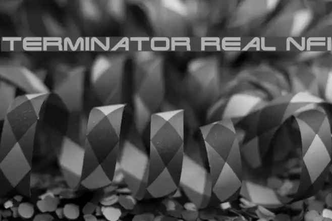 Terminator Real NFI Fuentes examples
