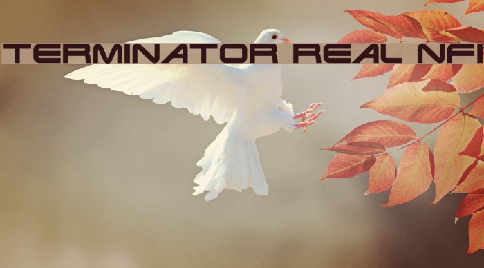 Terminator Real NFI Font examples