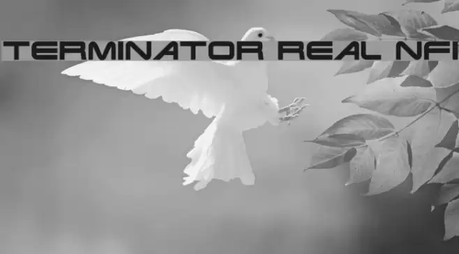 Terminator Real NFI Fuentes examples