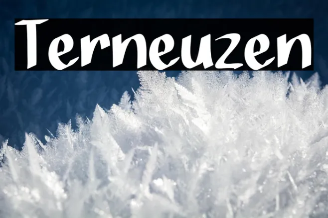 Terneuzen Example 2