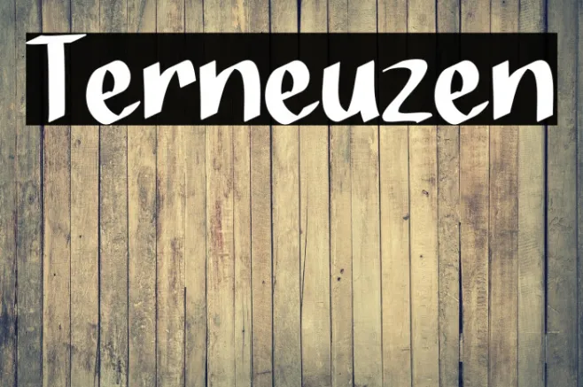 Terneuzen Example 3