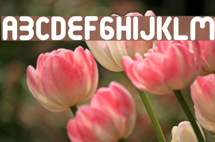 Terondaremorena Font examples