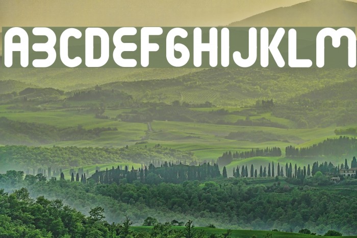 Terondaremorena Font examples