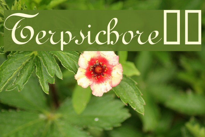 Terpsichore!` Font examples