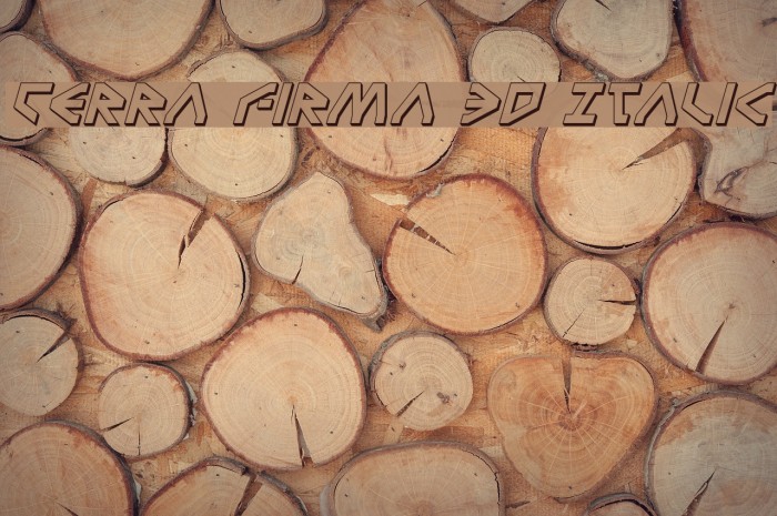 Terra Firma 3D Italic Font examples
