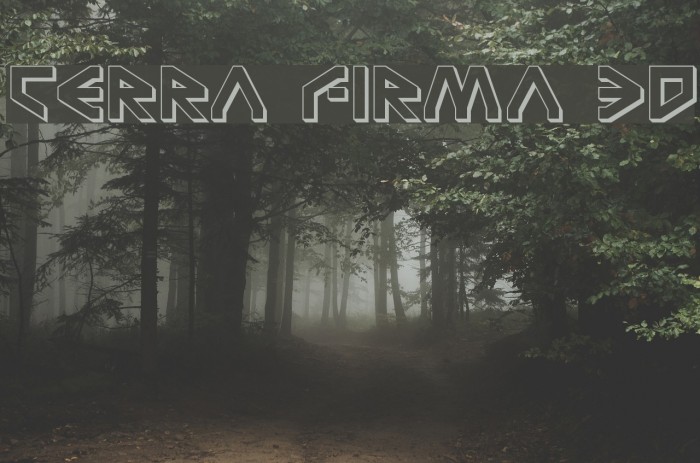 Terra Firma 3D Example 2