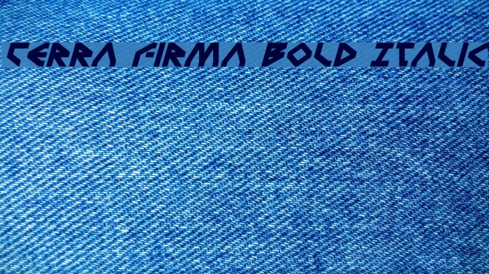 Terra Firma Bold Italic Font examples