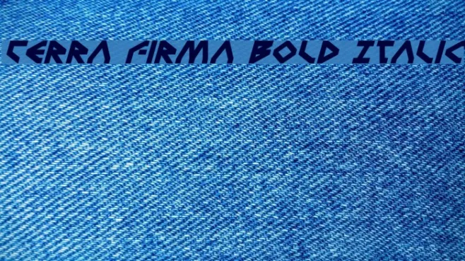 Terra Firma Bold Italic Example 1