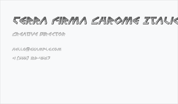 Terra Firma Chrome Italic Business Card