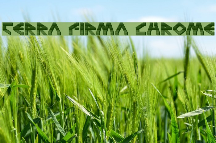 Terra Firma Chrome Font examples