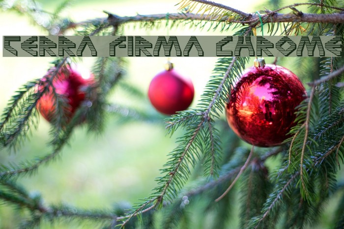 Terra Firma Chrome Font examples