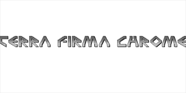 Terra Firma Chrome Logo
