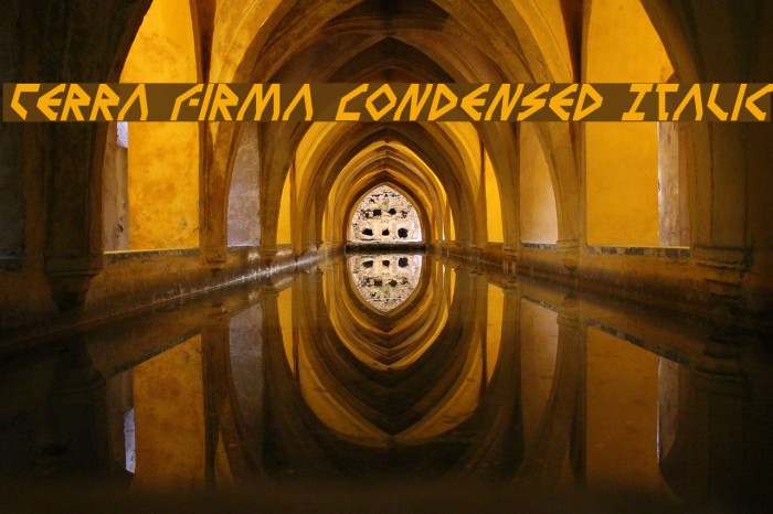 Terra Firma Condensed Italic Font examples