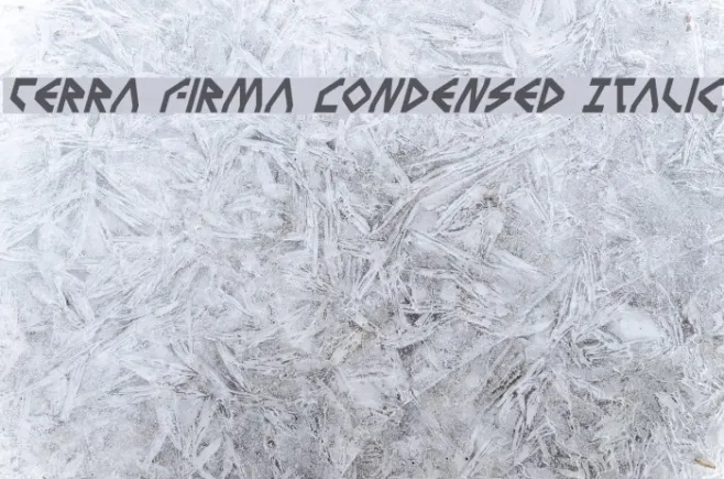 Terra Firma Condensed Italic Example 3