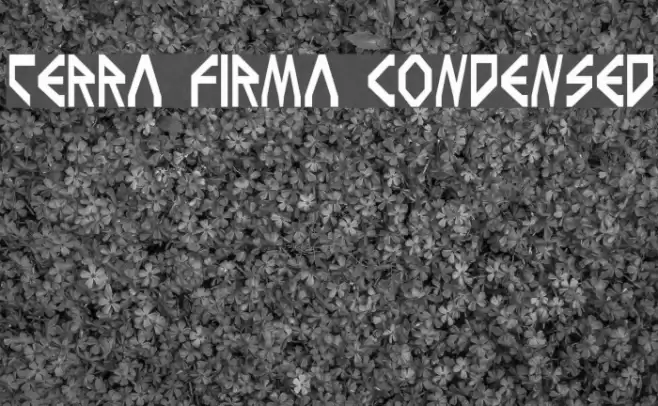 Terra Firma Condensed Font examples