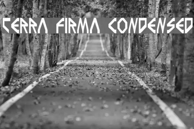 Terra Firma Condensed Font examples